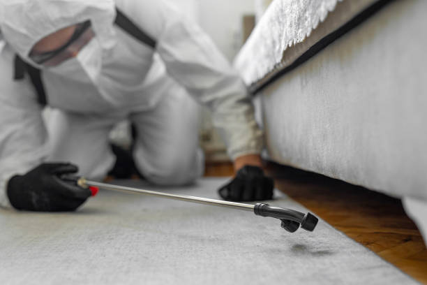 Professional Bed Bug Control technician working in Vicksburg, MS