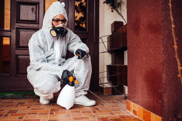 Reliable Bed Bug Control contractor in Vicksburg, MS by Nex Pest Control